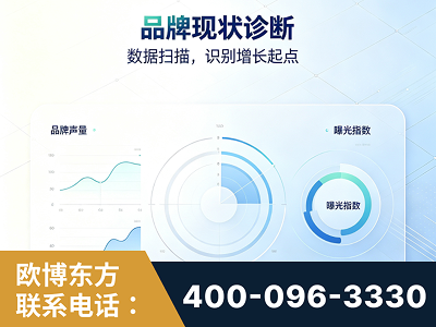 调兵山-品牌现状诊断